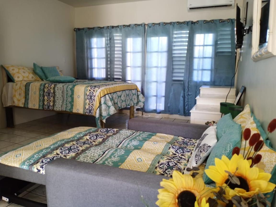 Ridgeway Guest House Montego Bay Exterior photo
