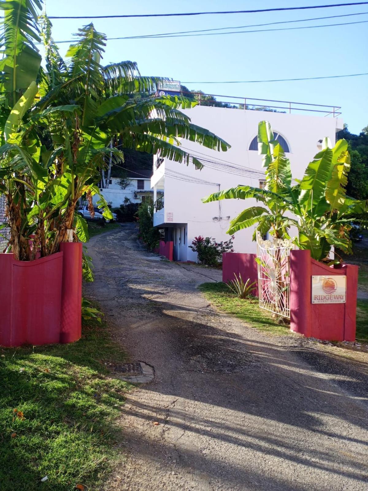 Ridgeway Guest House Montego Bay Exterior photo